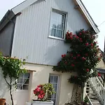Les Orchidees * Honfleur